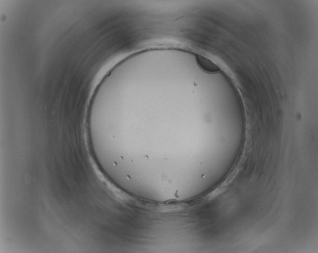 X0000071771440200607211521