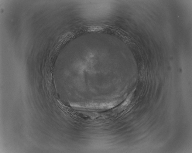 X0000071771441200607211520