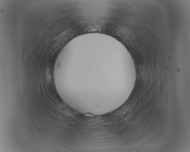 X0000071771442200607211520