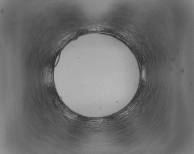 X0000071771444200607211520