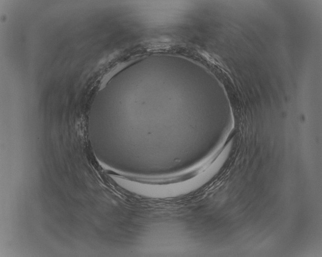 X0000071771445200607211520