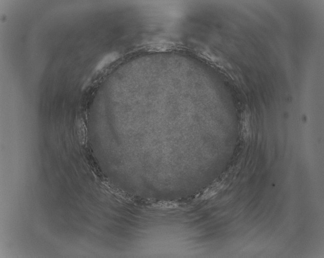 X0000071771446200607211520