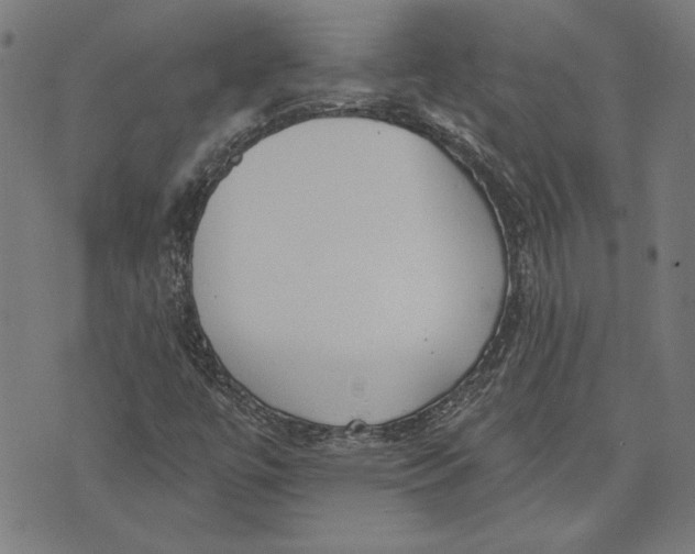 X0000071771447200607211520