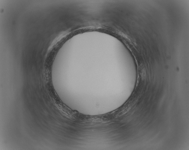 X0000071771448200607211520