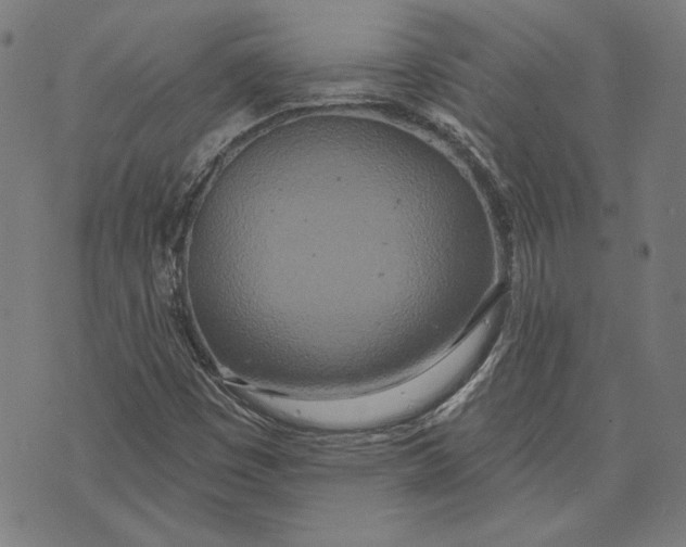 X0000071771449200607211520