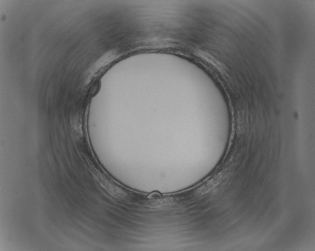 X0000071771451200607211520