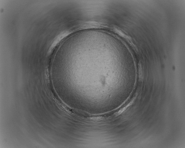 X0000071771453200607211520