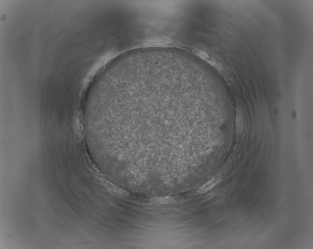 X0000071771454200607211520