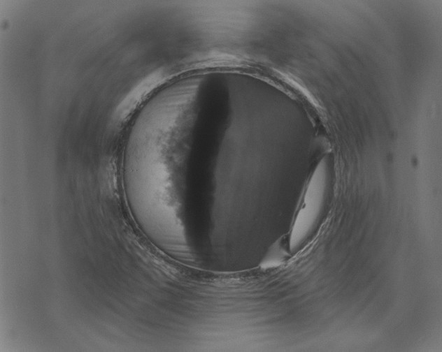 X0000071771455200607211520