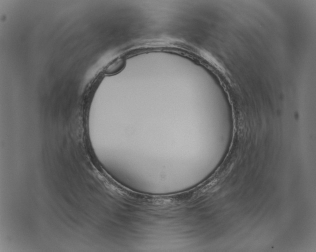 X0000071771456200607211520