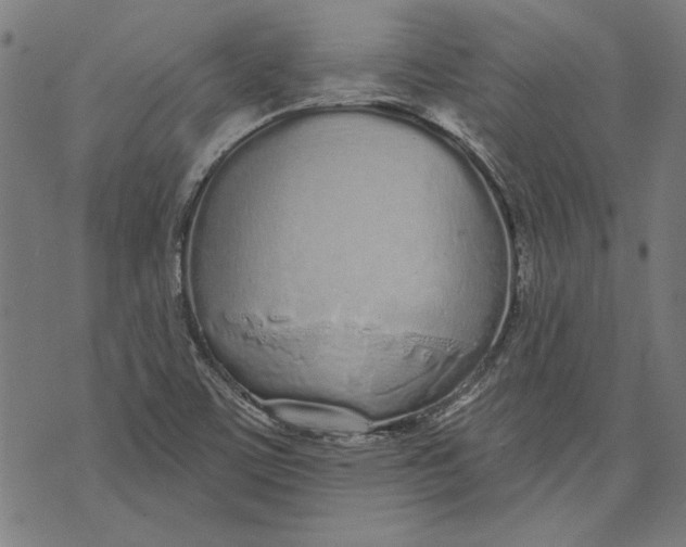 X0000071771459200607211520