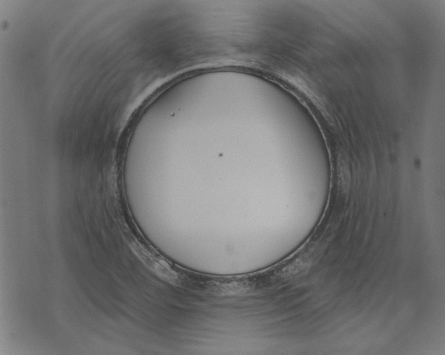 X0000071771460200607211520