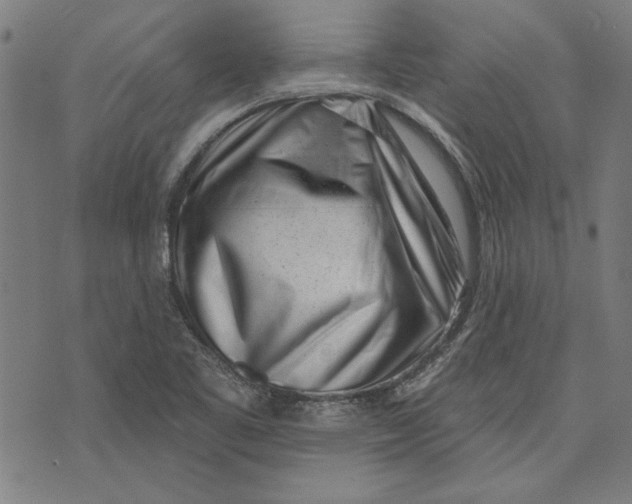 X0000071771461200607211520