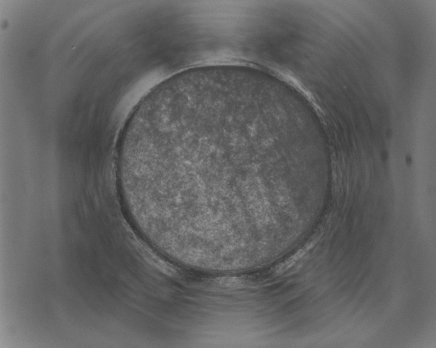 X0000071771463200607211520