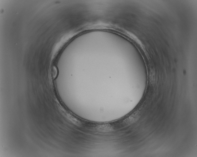 X0000071771464200607211520