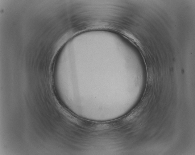 X0000071771467200607211520