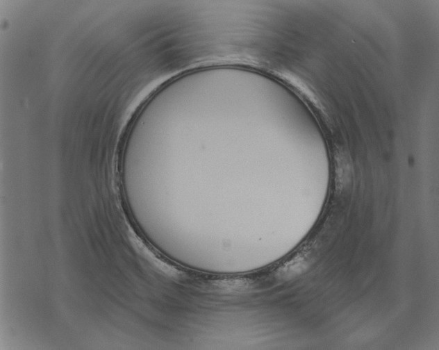 X0000071771468200607211519