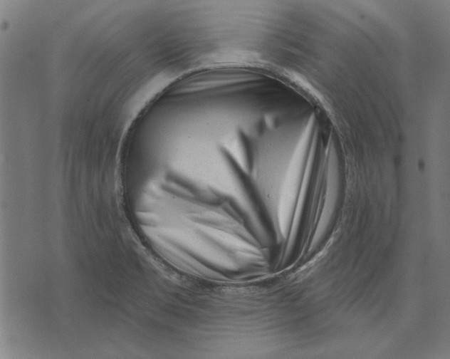 X0000071771469200607211519