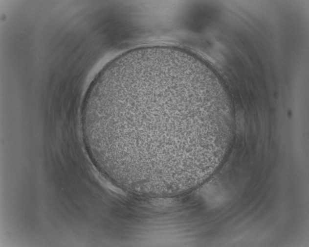 X0000071771470200607211519