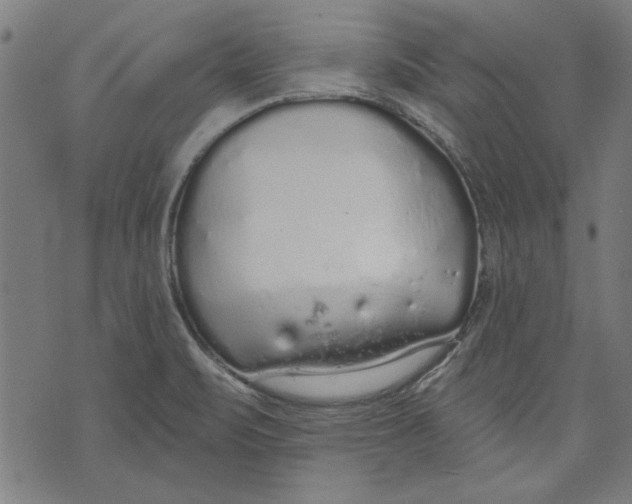 X0000071771471200607211519