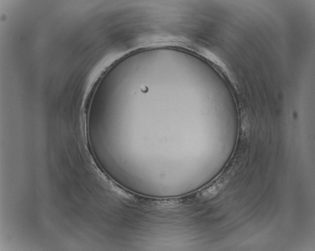 X0000071771472200607211519