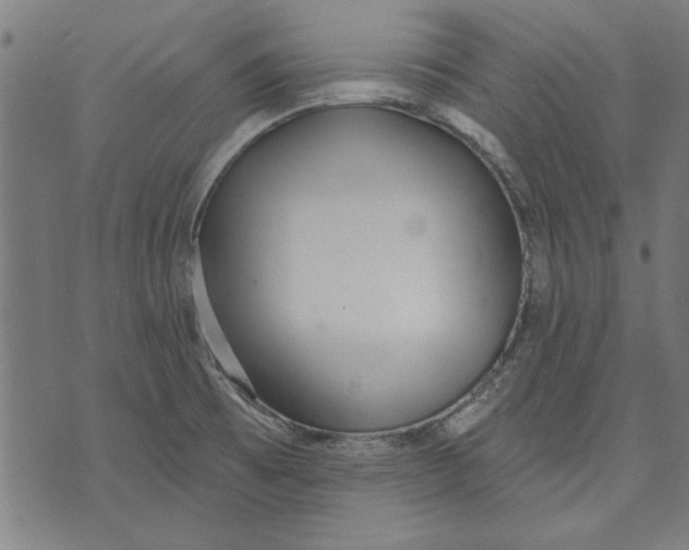 X0000071771473200607211519