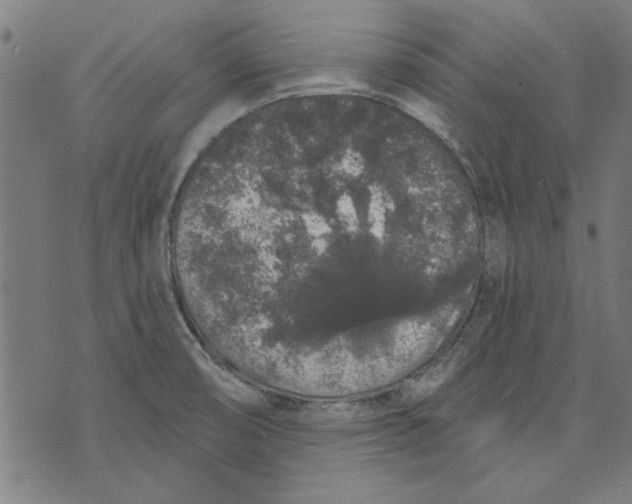 X0000071771474200607211519