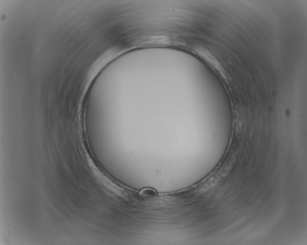 X0000071771475200607211519