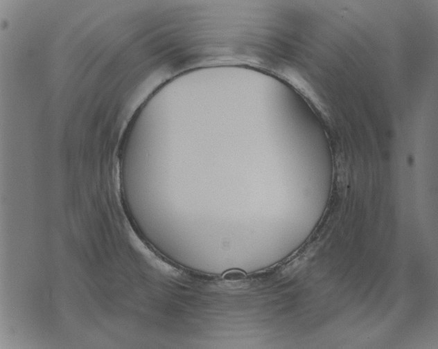 X0000071771476200607211519