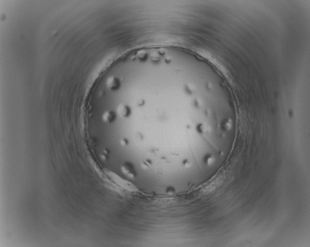 X0000071771477200607211519