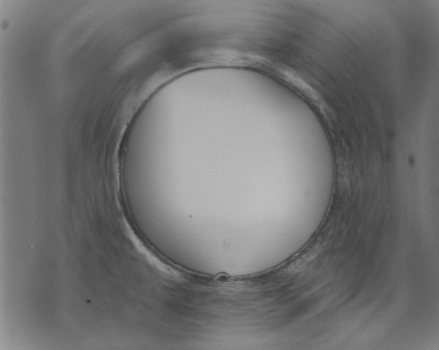 X0000071771479200607211519