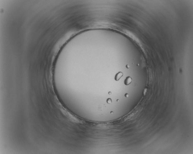 X0000071771480200607211519