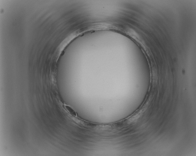 X0000071771481200607211519