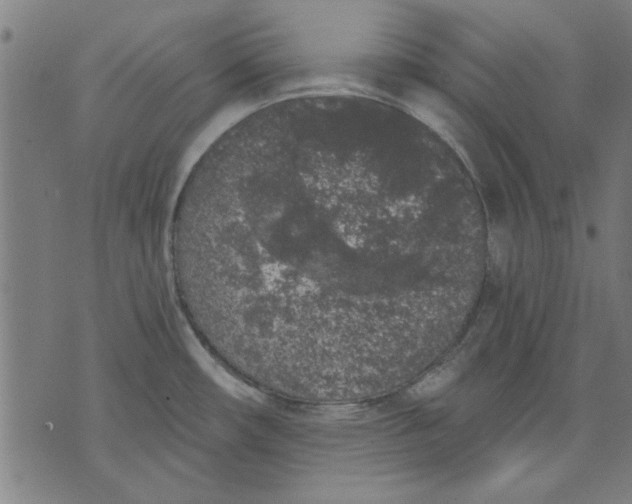 X0000071771482200607211519