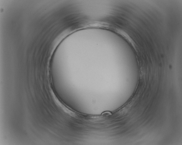 X0000071771483200607211519