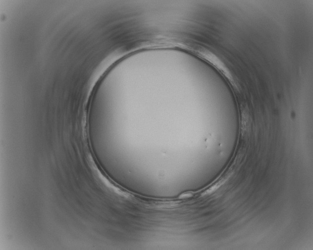 X0000071771484200607211519