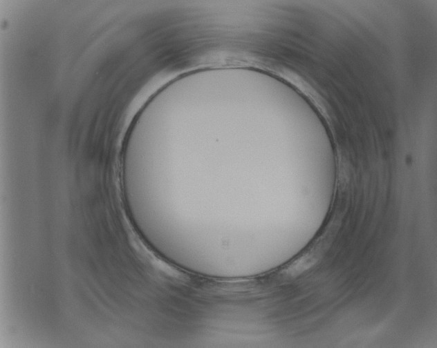 X0000071771486200607211519