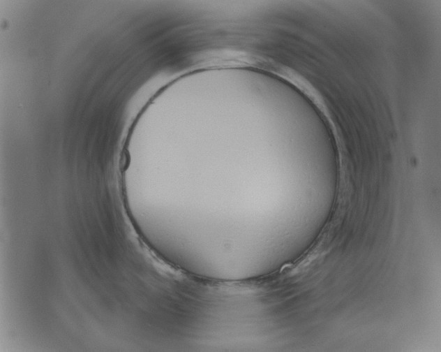 X0000071771488200607211519