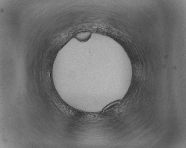 X0000071771489200607211518