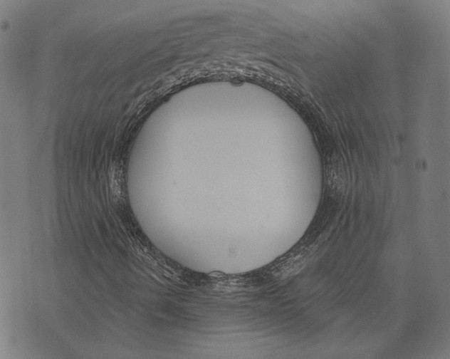 X0000071771490200607211518