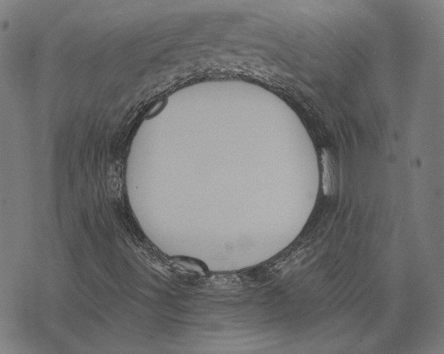 X0000071771491200607211518