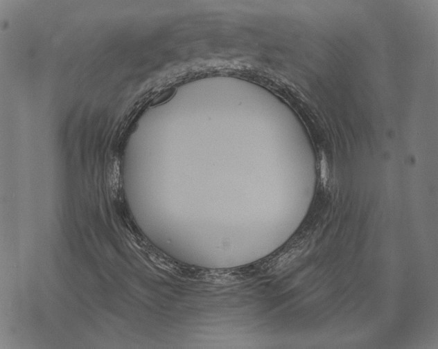 X0000071771492200607211518