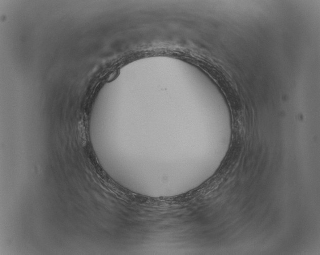 X0000071771493200607211518