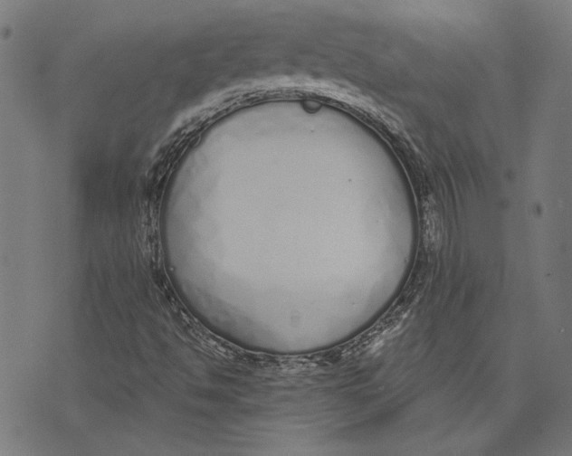 X0000071771494200607211518