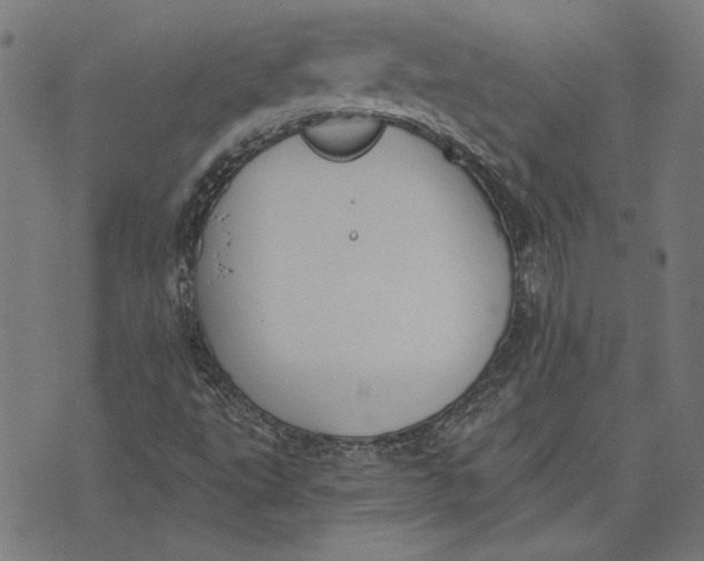 X0000071771495200607211518