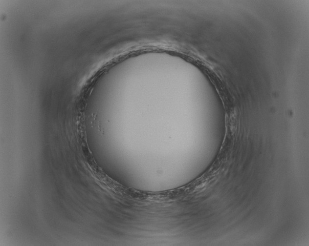 X0000071771496200607211518