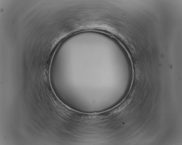 X0000071771497200607211519