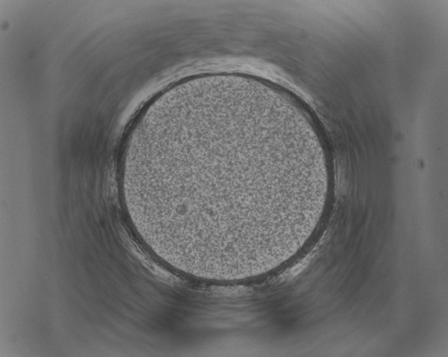 X0000071771498200607211519