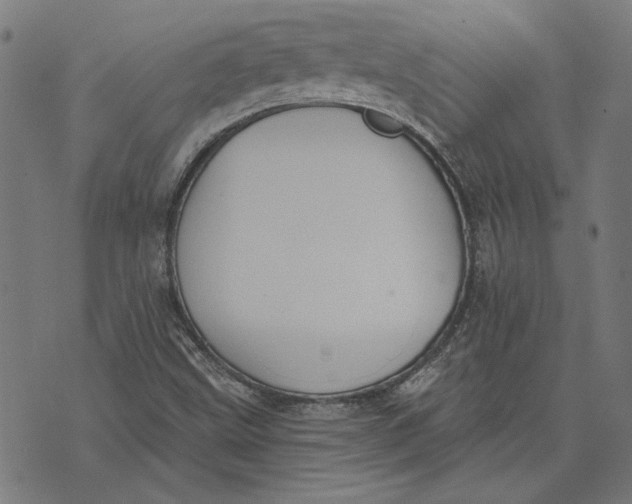 X0000071771499200607211519