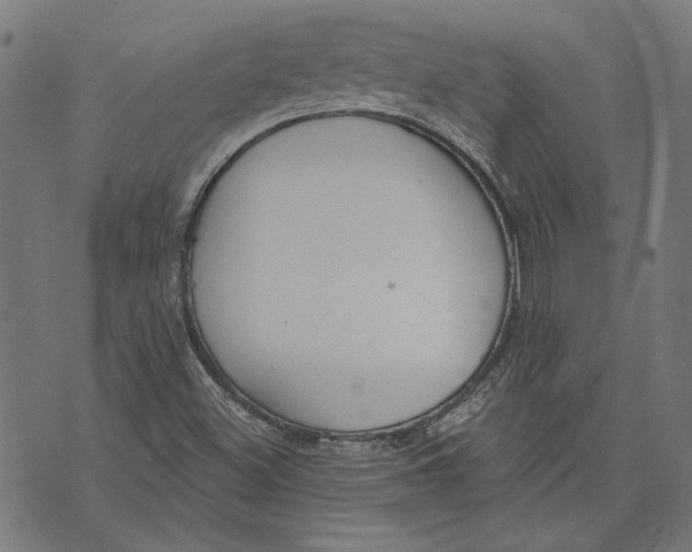 X0000071771500200607211519